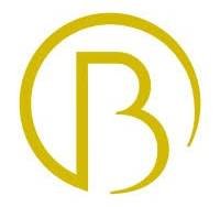 Design Partner